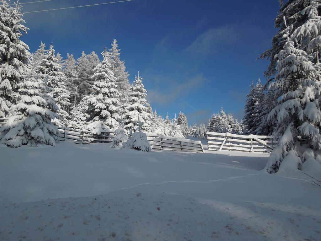 Blockhaus Bodefall Браунлаге Номер фото