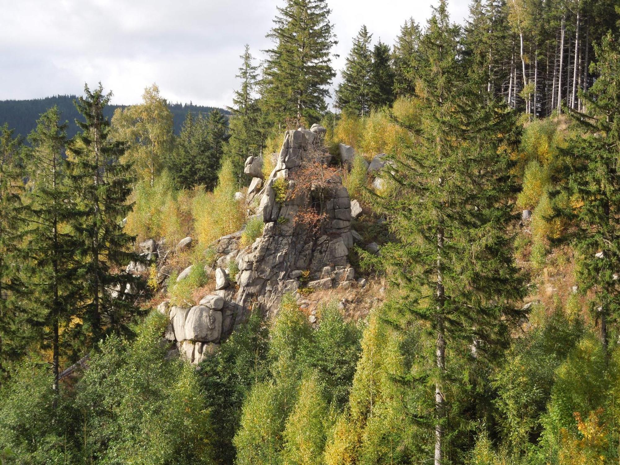 Blockhaus Bodefall Браунлаге Екстер'єр фото