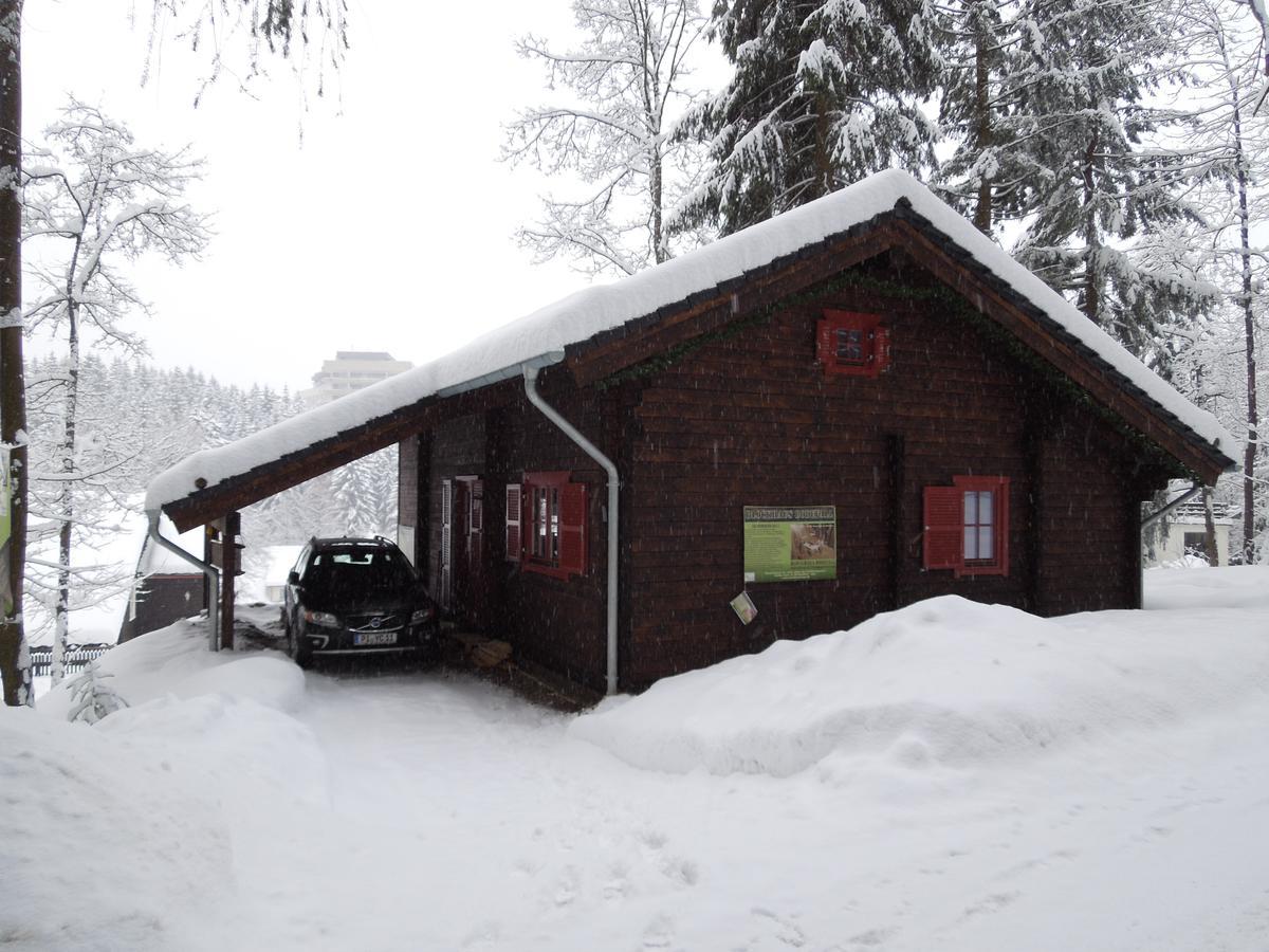 Blockhaus Bodefall Браунлаге Екстер'єр фото